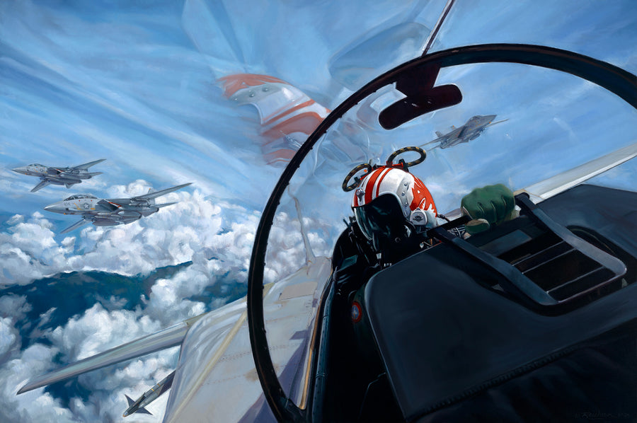 Star Wars On Earth — F-14 Tomcat Limited Edition Print